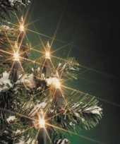 Kerstboom verlichting helder buiten 160